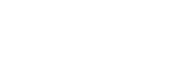 Serasec Logo weiß png; Serasec: Service & Security